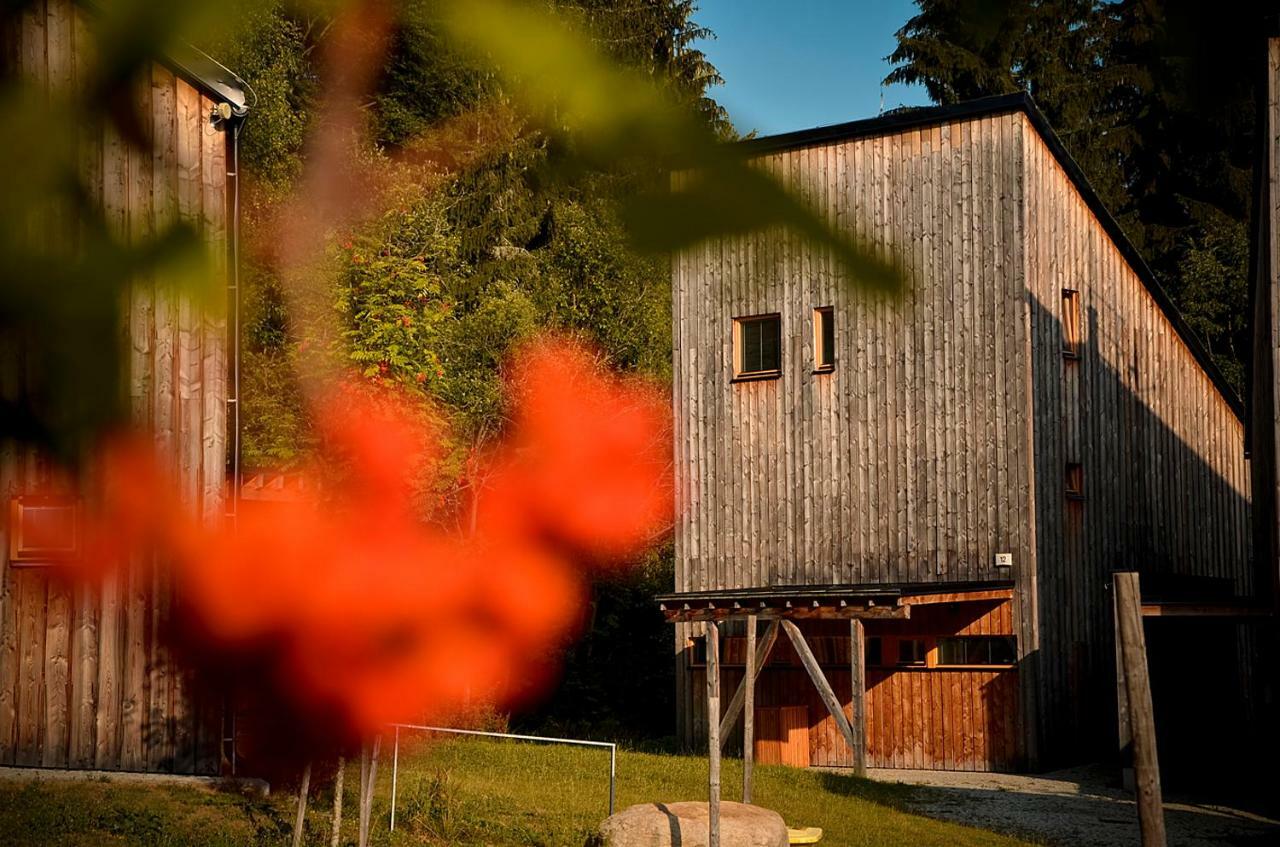 Naturepark Resort Harrachov Εξωτερικό φωτογραφία